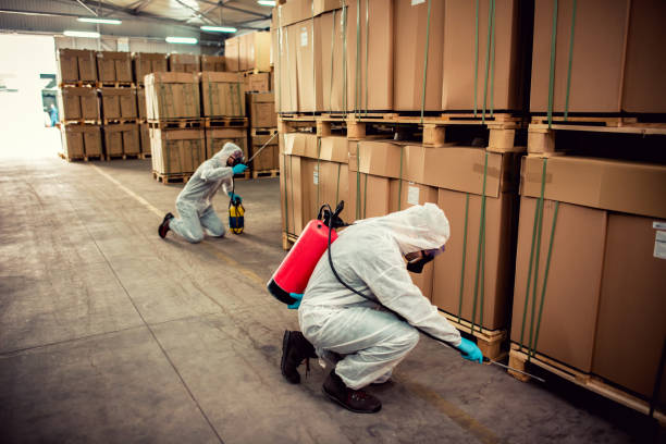 Best Pest Control Near Me  in Lockwood, MT