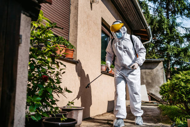 Best Flea Control Services  in Lockwood, MT
