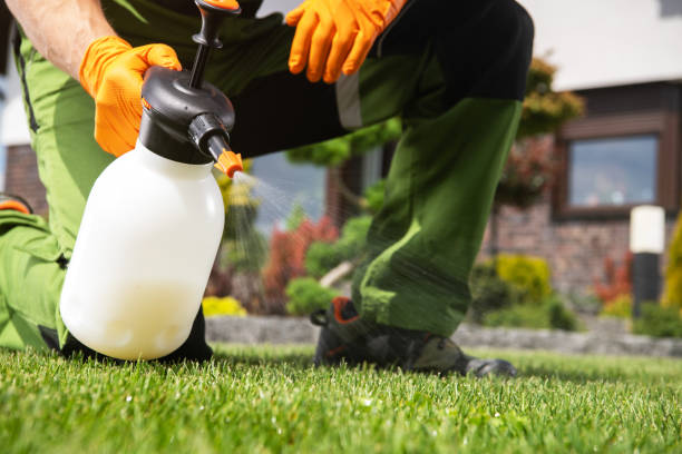 Best Pest Prevention Services  in Lockwood, MT
