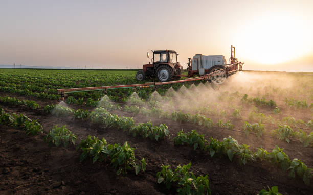 Pest Control Cost in Lockwood, MT