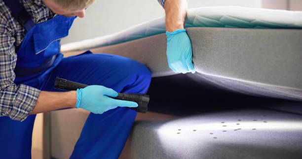 Best Pest Removal Services  in Lockwood, MT