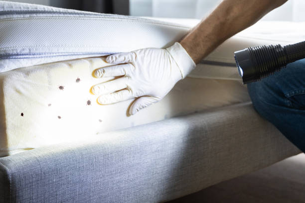 Best Pest Control for Homes  in Lockwood, MT