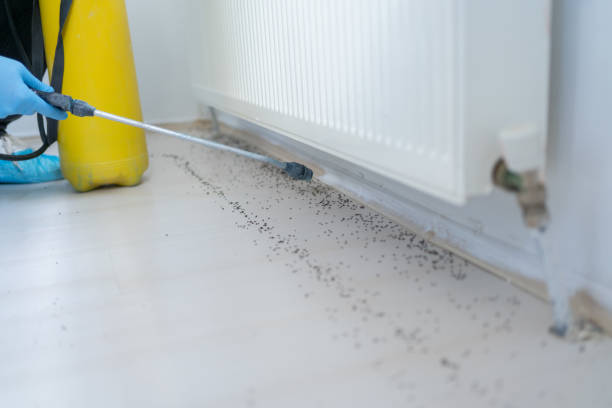 Best Pest Removal Services  in Lockwood, MT