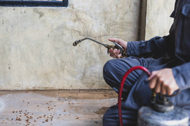 Reliable Lockwood, MT Pest Control Solutions
